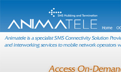 Разработан сайт компании Anima Telecom