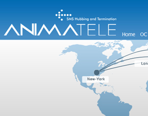 Сайт-визитка Anima Telecom